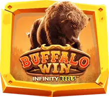 Buffalo_Win